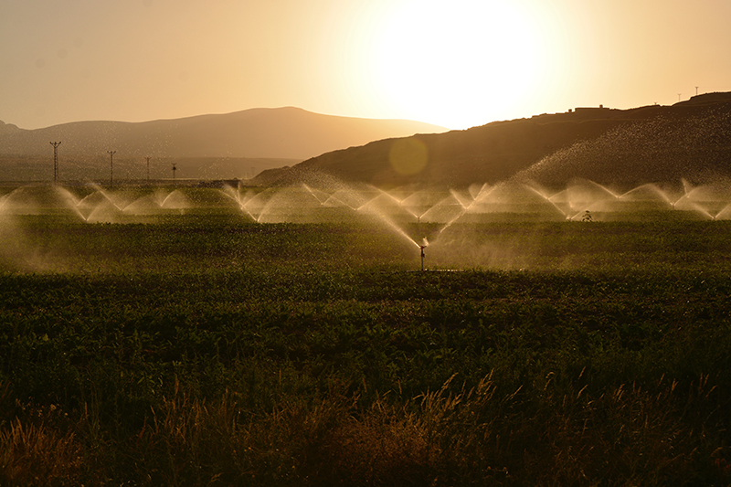 Smart Irrigation